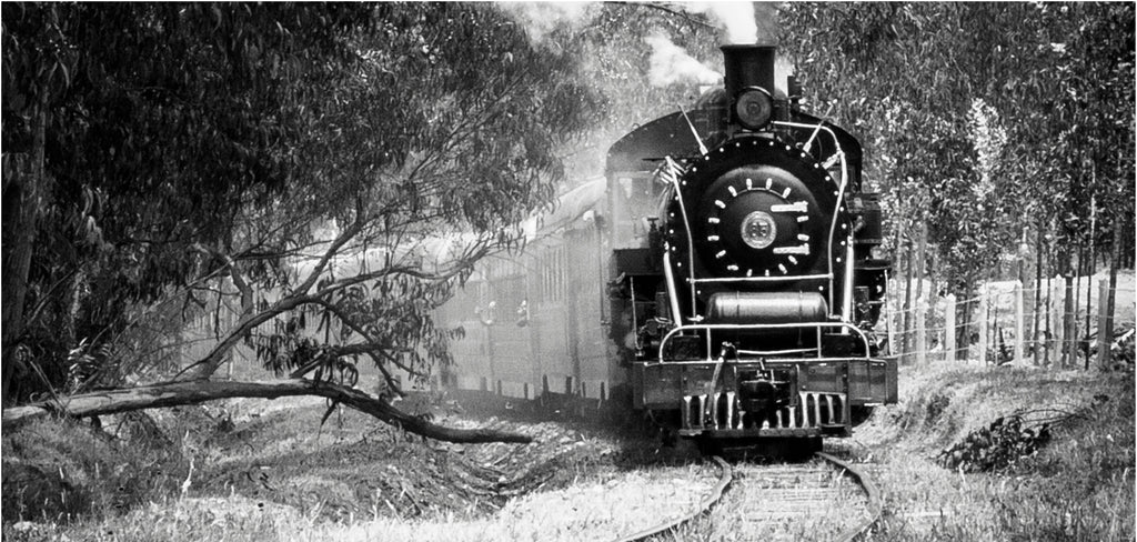 Un anciano en un tren