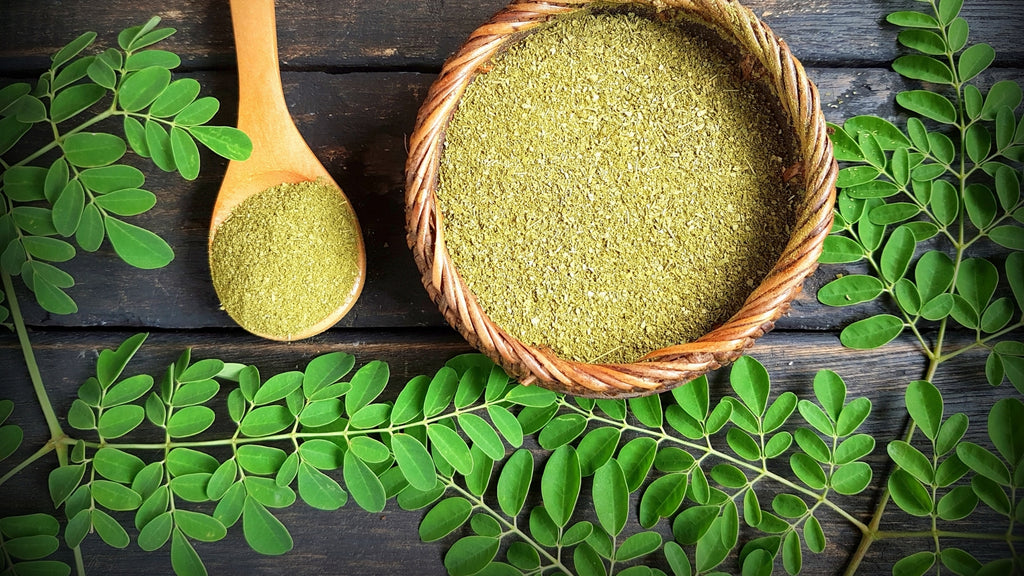 La moringa y sus amplios beneficios