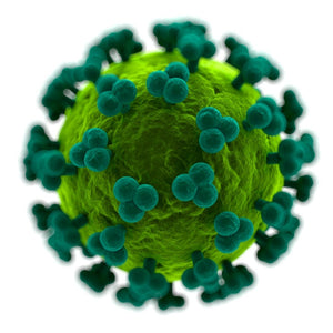 El origen y la esencia de los virus