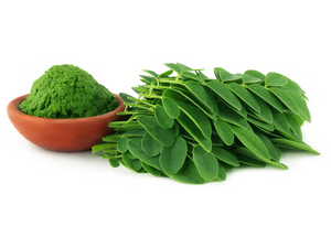 La Moringa; del Himalaya hacia su bienestar