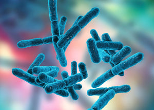 Alteraciones en la fisiología y patologías ocasionadas por la disbiosis intestinal